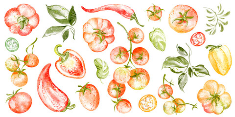 A hand-drawn watercolor illustration of ripe tomatoes, bell peppers, and chili peppers. Includes basil and green leaves, perfect for food, cooking, and nutrition-themed designs.