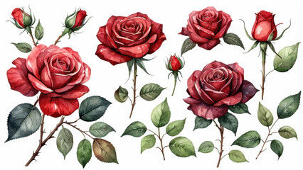 A bundle of fresh red roses with green leaves