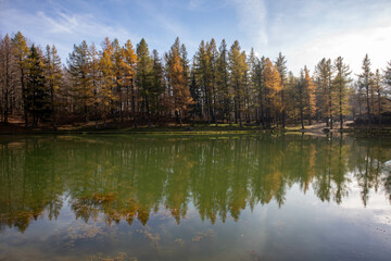 Obraz premium Lago della Ninfa, Monte Cimone, comune di Sestola, provincia di Modena, Emilia Romagna