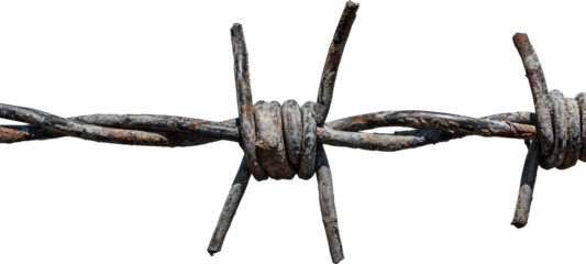 Rusty Barbed Wire Fence Section