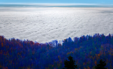 View from above of amazing foggy mountains in autumn season - Aerial view of autumn forest over the clouds - Yedigoller , Turkey - Autumn landscape in (seven lakes) Yedigoller Park Bolu, Turkey