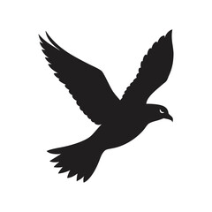 vector illustration of a seagull
