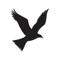 vector illustration of a seagull