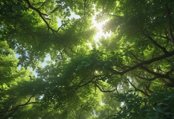 Obraz premium Dense, unfocused green canopy; dappled light filters through , flora, bokeh, dappled light