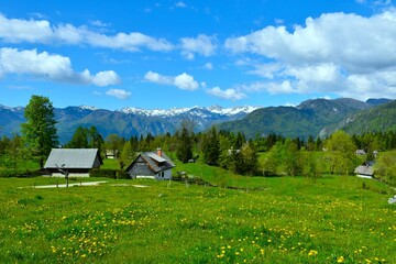 View of snow covered peak in Julian alps from Uskovnica pasture with cottages and a meadow with...