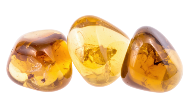 Three Polished Amber Gemstones with Transparent Quality and Fossil Inclusions Against Transparent Background
