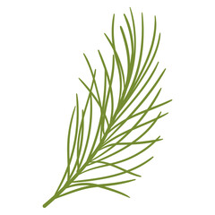 Pine Branch in Hand Drawn Style. Spruce branch decoration for Christmas frames and wreaths. Nature ornament. Cute fir symbol. Holidays green flat twig
