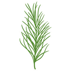 Cartoon Pine Tree Branch in Hand Drawn Style. Spruce branch decoration for Christmas frames and wreaths, cards. Nature ornament. Cute fir symbol. Holidays green flat twig