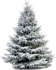 Obraz premium Snowy Christmas Tree Decorated