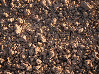 Close-up of dry, clumpy soil texture in a plowed field during spring, ready for planting. Agricultural ground surface.