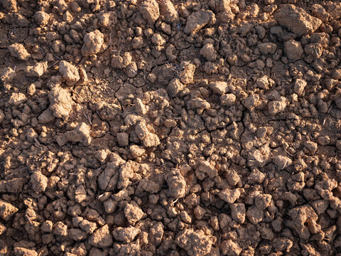Close-up of dry, clumpy soil texture in a plowed field during spring, ready for planting. Agricultural ground surface.