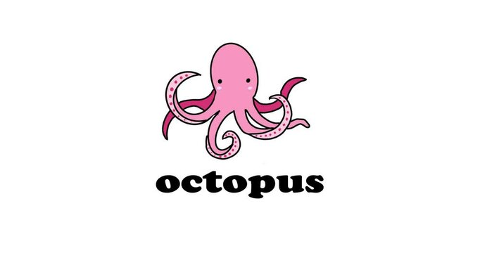 sea animals study in english, octopus