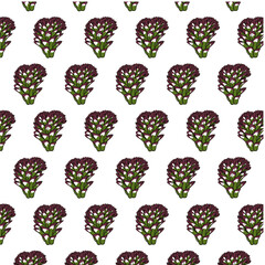 Dutchman's Pipe Cactus flower Seamless Pattern Hand drawn vector line art, Black and Color Flower isolated in white.  Beautiful design for textile, wallpaper, wrapping paper and backgrounds