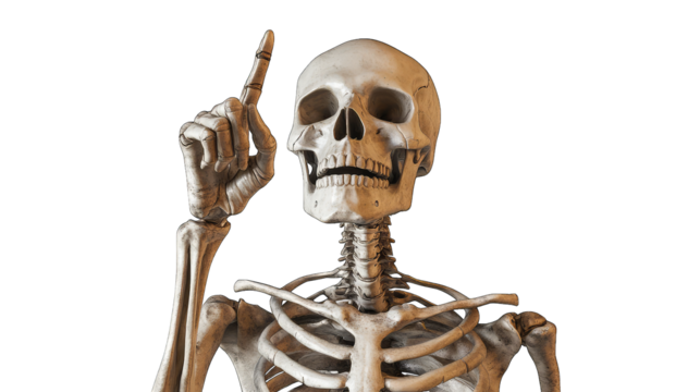 A Human Skeleton With A Surprised Expression Pointing Its Index Finger Upwards With A Transparent Background