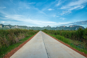 Country road to green mountains in summer. Road background.