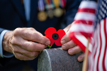 A veteran places a poppy on a tombstone honoring fallen soldiers and remembering service