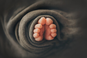 the legs of a newborn. the heels, the fingers of a baby, a child. Childbirth, maternity capital, artificial insemination, IVF, mortgage, family, love. High quality photo