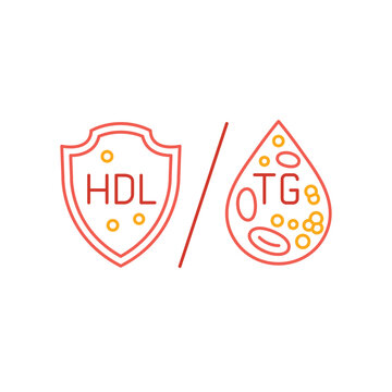 Lipid profile TH to HDL icon, pictogram. Outline vector illustration.