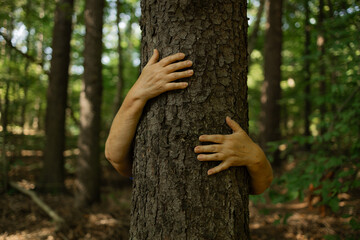 Close-up of a tree trunk covered in moss with human hands hugging it from both sides. The image symbolizes love for nature, environmental awareness, and connection with the forest