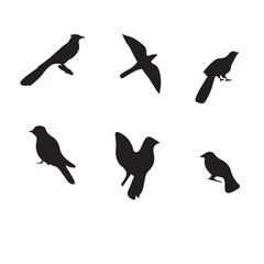 set of birds