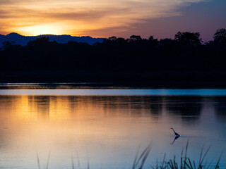 sunset over lake from Kaziranga National Park | Hues of nature