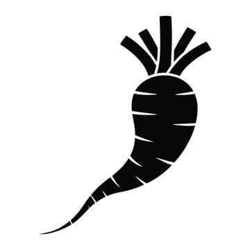 Mashua Root Silhouette, Vector, Illustration, Icon, Logo, White Background.