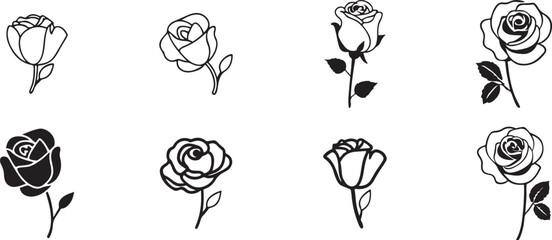 Rose Illustration Collection. Line Art Roses for Decoration. Blooming Roses.
