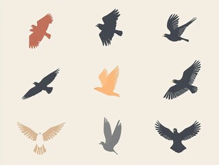 Obraz premium Colorful Illustrations of Various Birds in Flight and Motion