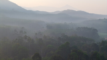 Aerial vire tropical green background of tropical rain forest morning with fog