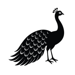 a black silhouette of a peacock bird on vector art illustration