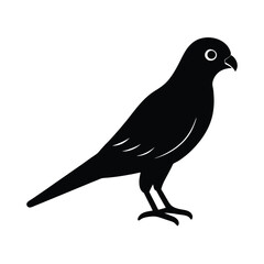 a black silhouette of a puffin bird vector art illustration