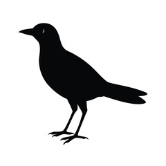  a black silhouette of a genn bird on a vector art illustration