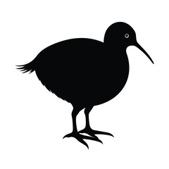a black silhouette of a kiwi bird on vector art illustration
