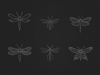 Vintage Insect Illustrations on Dark Background for Design Projects