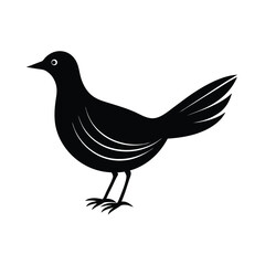  Beautiful drove bird white background vector art illustration