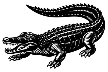 Fototapeta premium silhouette of a crocodile