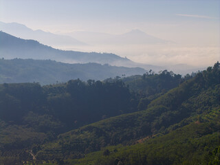 Aerial vire tropical green background of tropical rain forest morning with fog