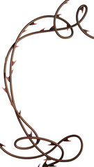 Thorns vines background. Prickly vines frame for stories isolated. 3D rendering