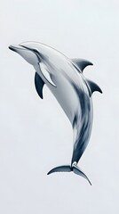 Fototapeta premium Graceful leaping dolphin against a neutral backdrop.
