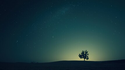 Fototapeta premium Solitary tree under twilight sky