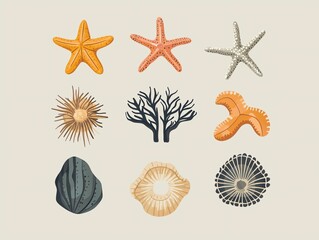 Marine Life Illustrations of Sea Stars and Coral Variety