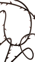 Thorns vines background. Prickly vines frame for stories isolated. 3D rendering