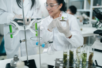 Algae microbiology research in a biotechnology laboratory explores alga-based biofuel and algal...