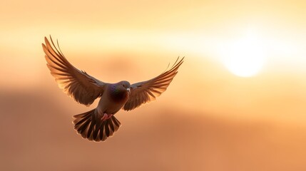 Fototapeta premium Bird in flight against a sunset sky nature photography tranquil environment captured moment