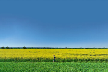 Aerial view of a runner jogging through nature, embracing fitness and freedom