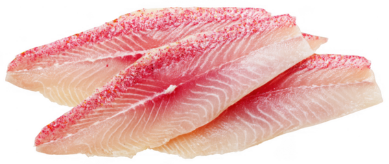 Raw Perch Fish Fillet on Transparent Background