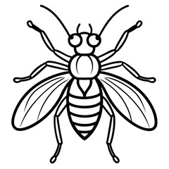 Insects and Rodents line art vector