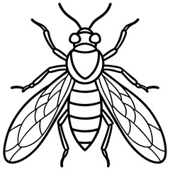 Insects and Rodents line art vector
