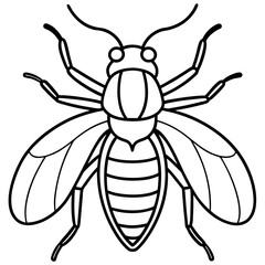 Insects and Rodents line art vector