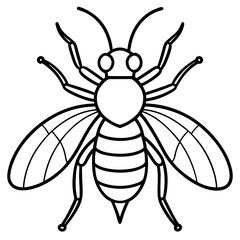Insects and Rodents line art vector